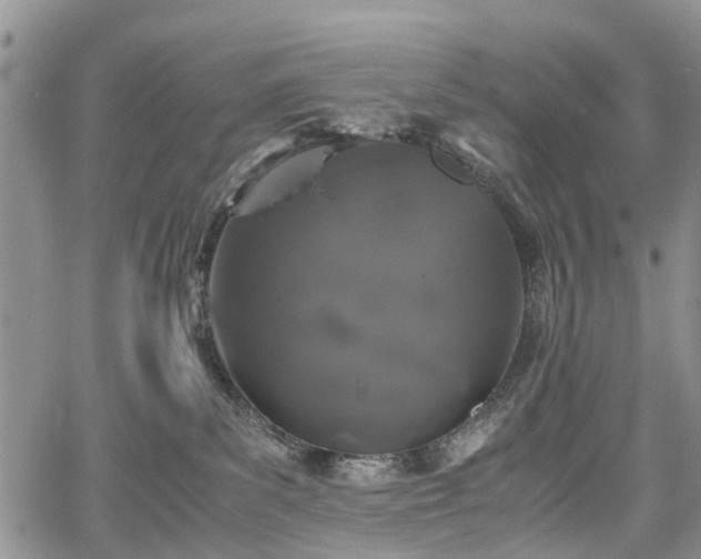 X0000067910139200604171348