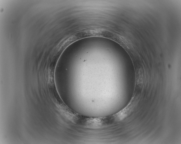 X0000067910140200604171348