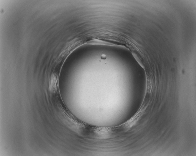 X0000067910142200604171348