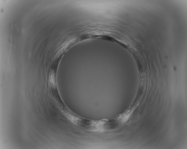 X0000067910143200604171348