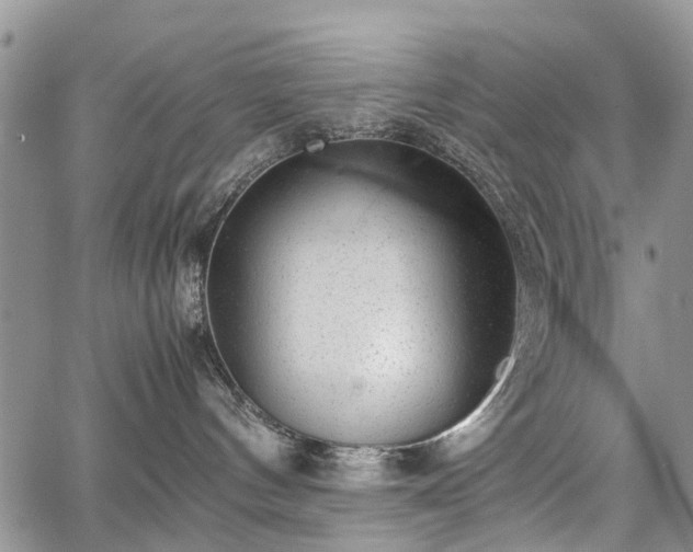 X0000067910144200604171348