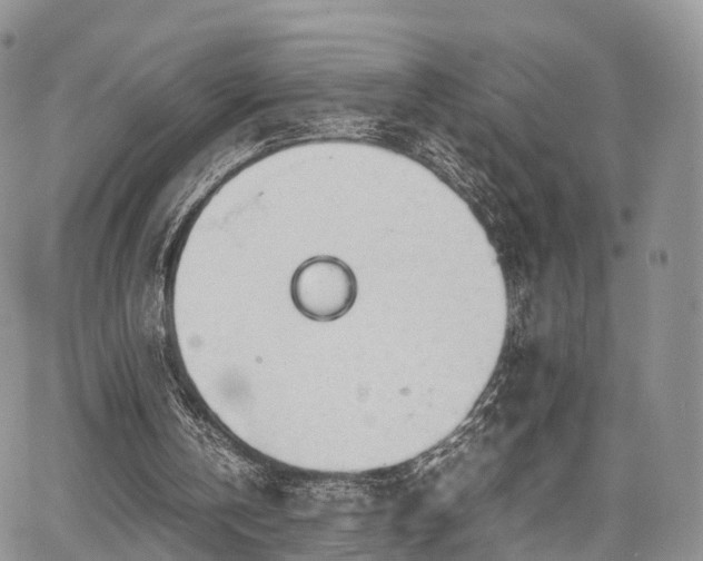 X0000067910146200604171347