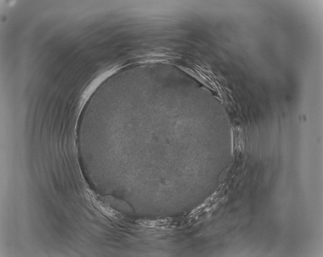 X0000067910147200604171347