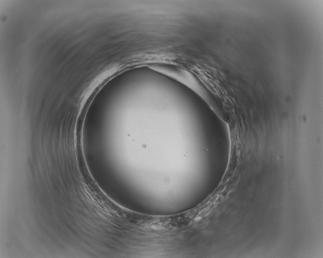 X0000067910148200604171347