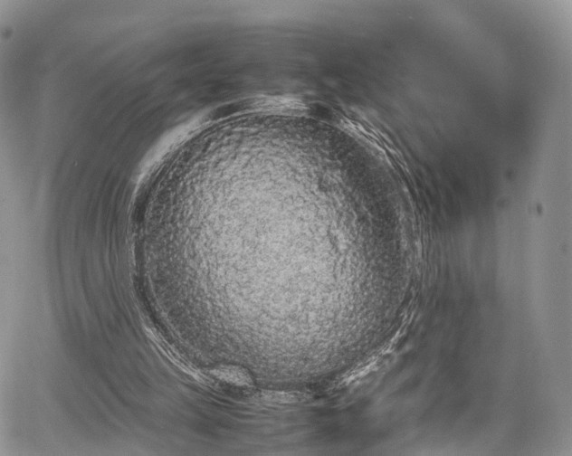 X0000067910149200604171347