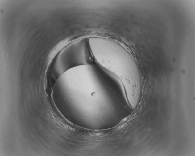 X0000067910152200604171347