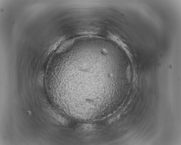 X0000067910153200604171347