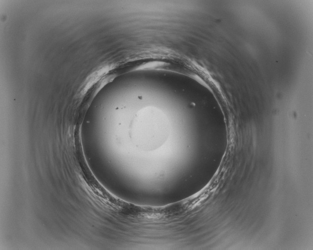 X0000067910154200604171347