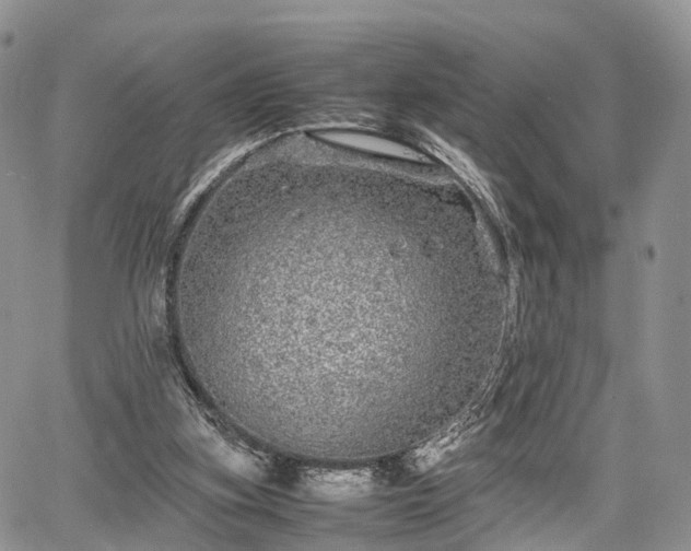 X0000067910155200604171347