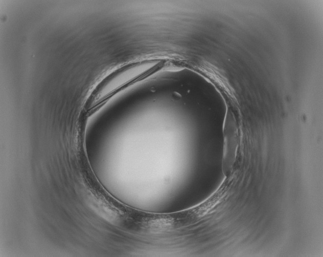 X0000067910156200604171347