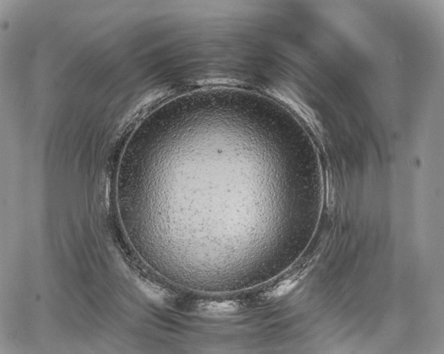 X0000067910157200604171347