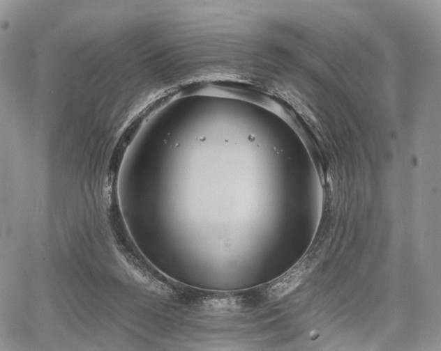 X0000067910160200604171347