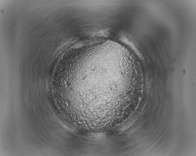 X0000067910161200604171347