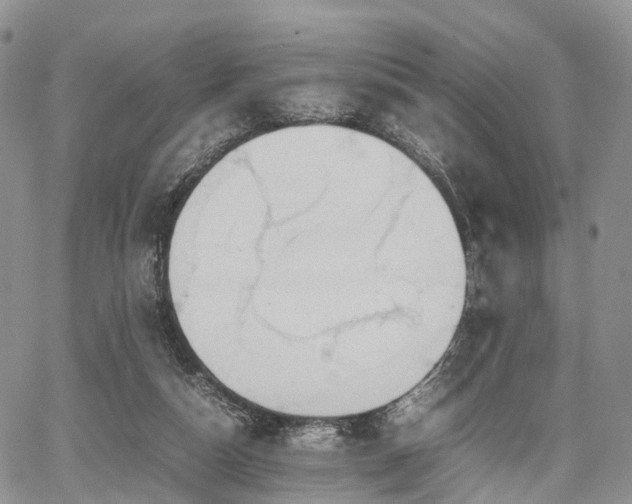 X0000067910162200604171347