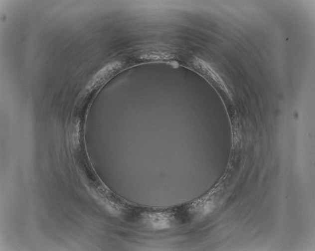 X0000067910163200604171347