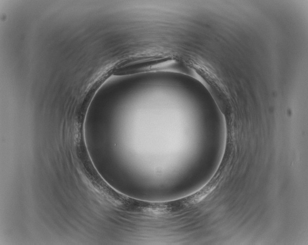 X0000067910164200604171347