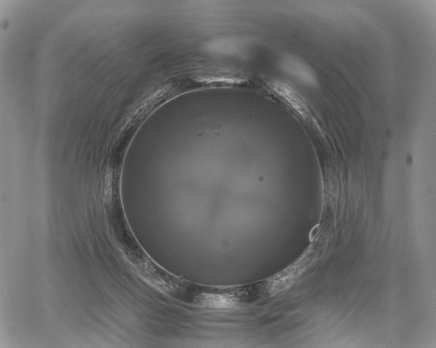 X0000067910167200604171347