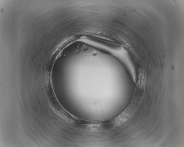 X0000067910168200604171347