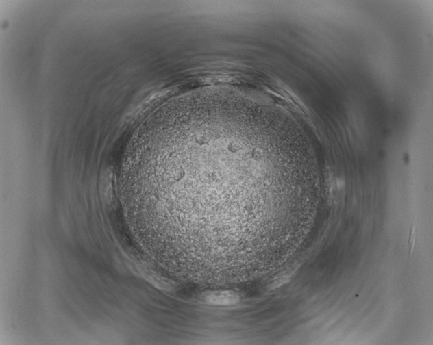 X0000067910169200604171347