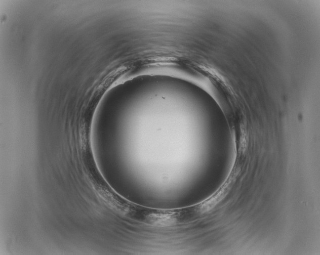 X0000067910170200604171347