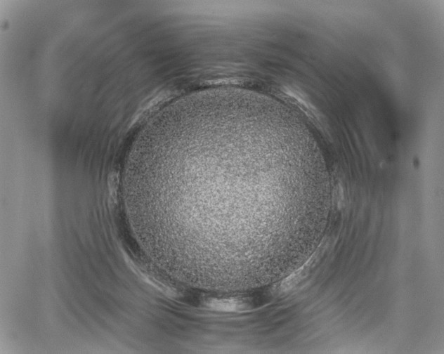 X0000067910171200604171347