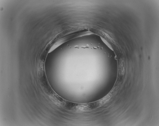 X0000067910172200604171347