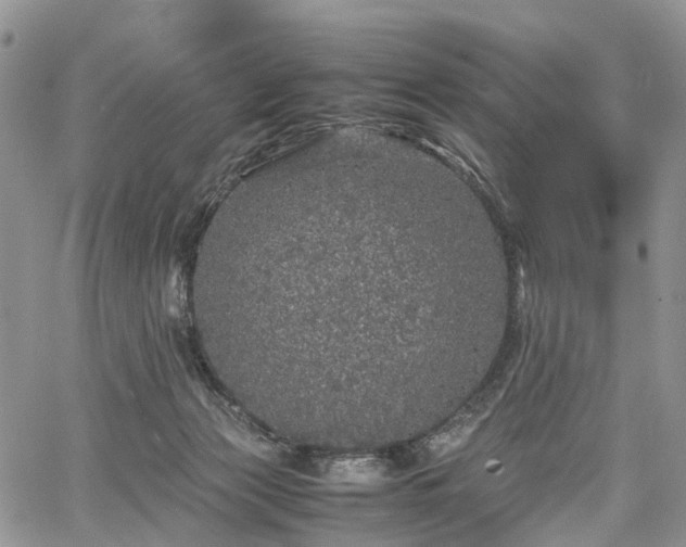 X0000067910173200604171347