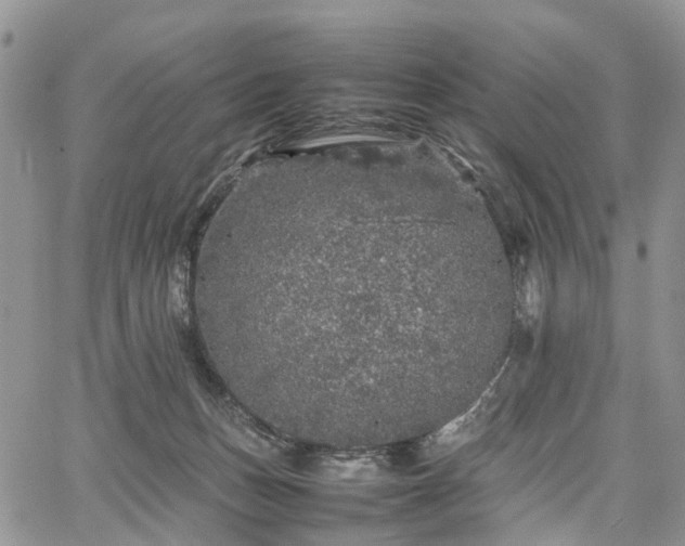 X0000067910175200604171348