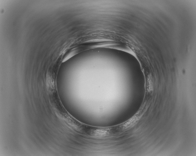 X0000067910176200604171348