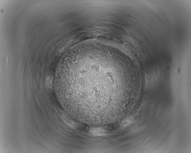 X0000067910177200604171348