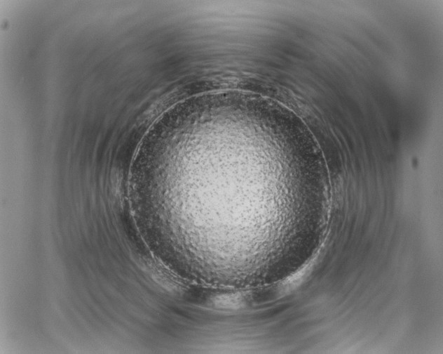 X0000067910178200604171348