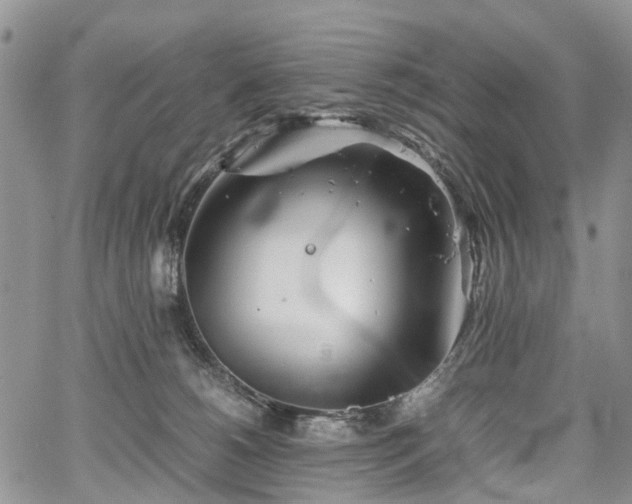 X0000067910180200604171348