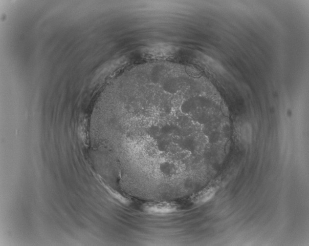 X0000067910181200604171348