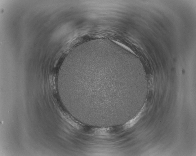 X0000067910182200604171348