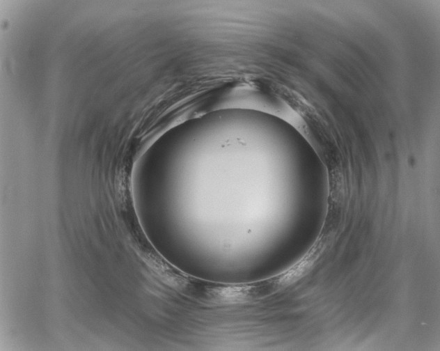 X0000067910184200604171348