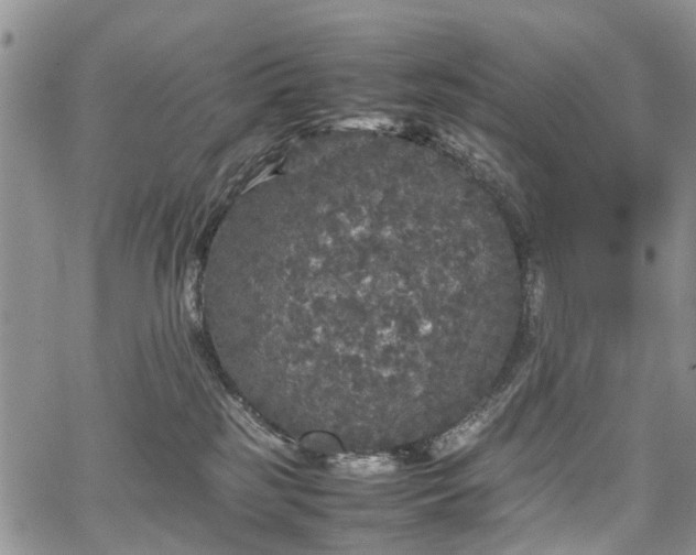 X0000067910185200604171348