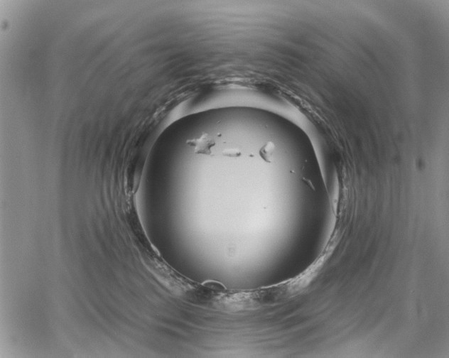 X0000067910186200604171348