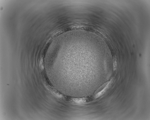 X0000067910187200604171348