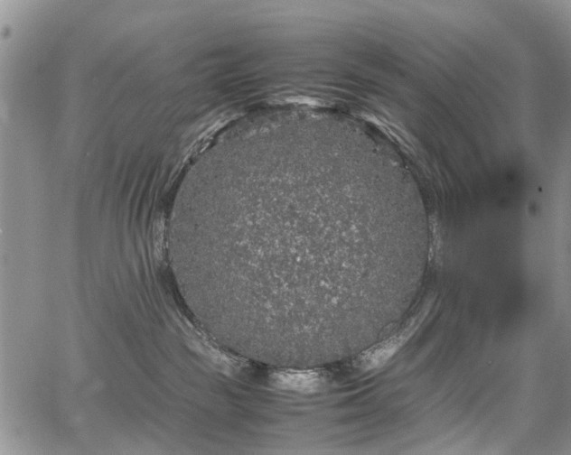 X0000067910189200604171348