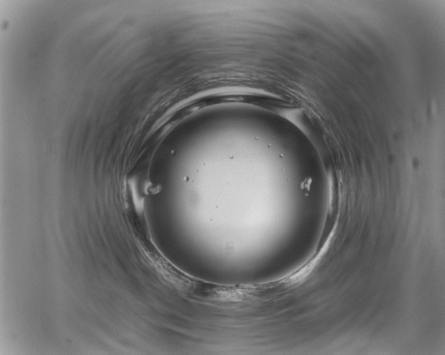 X0000067910190200604171348