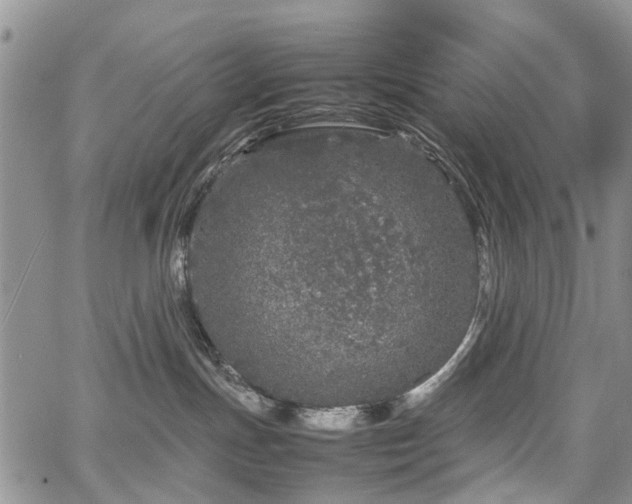 X0000067910191200604171348