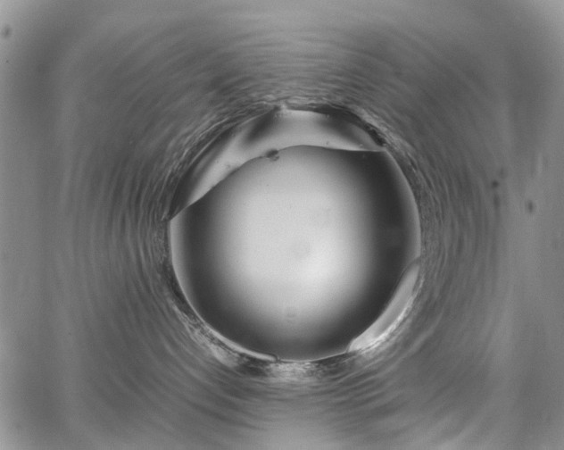 X0000067910192200604171348