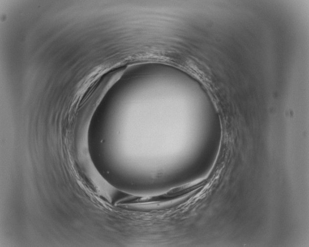 X0000067910193200604171347