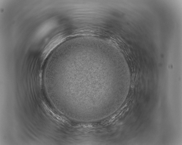 X0000067910194200604171347