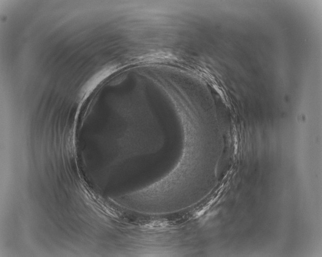 X0000067910196200604171347