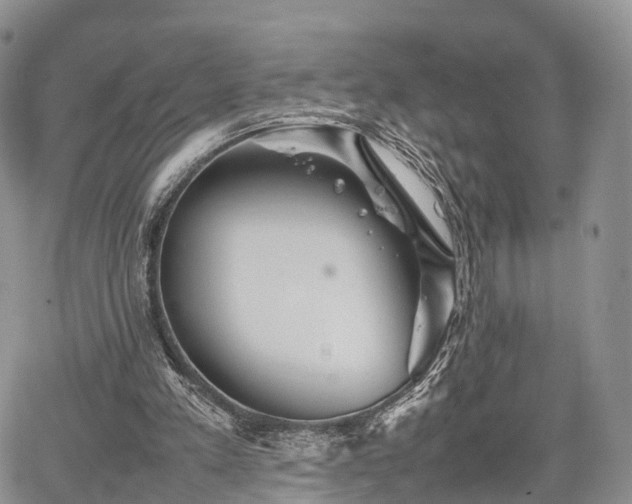 X0000067910197200604171347