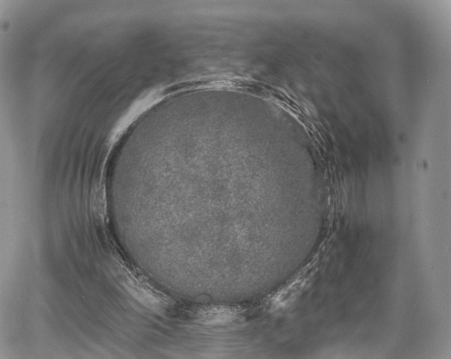 X0000067910198200604171347