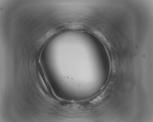 X0000067910201200604171347