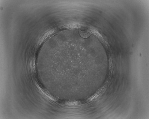 X0000067910202200604171347