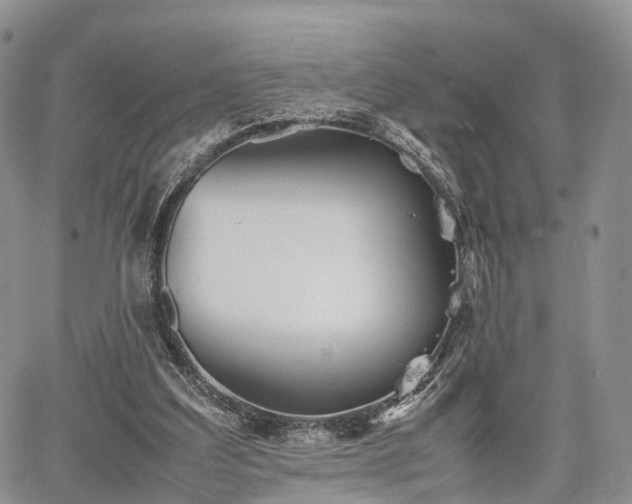 X0000067910203200604171347